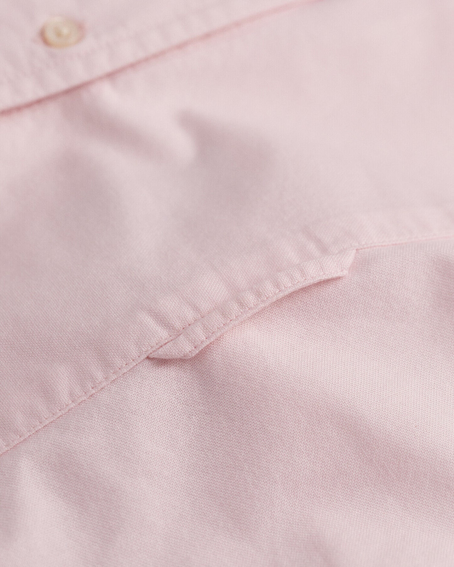 Chemise Oxford Classique Coupe Ajustée